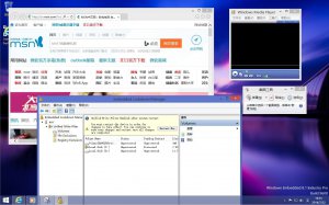 Microsoft Windows 8.1.17085 Embedded Industry (Pro) Update 1 86-x64 CN PIP by