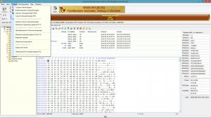 Eassos PartitionGuru Pro 4.6.2 RePack [Ru]