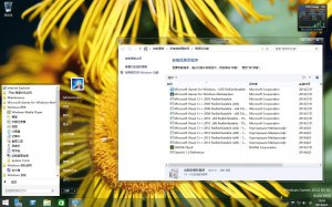 Microsoft Windows 8.1 Server 2012 R2 VL DataCenter 17085 x64 CN Games by Lopatkin (2014) 