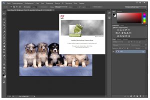Adobe Photoshop CC 2014.1.0 Final RePack by D!akov [Multi/Ru]