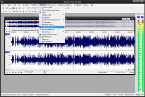 SONY Sound Forge Pro 11.0 Build 293 Portable by punsh [Ru]