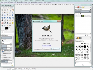 GIMP 2.10.0 RC2 [Multi/Ru]