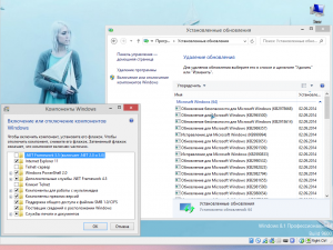 Windows 8.1 Pro vl 17238 Trimmed v.2.14 by Ducazen (x64) (2014) [Rus]