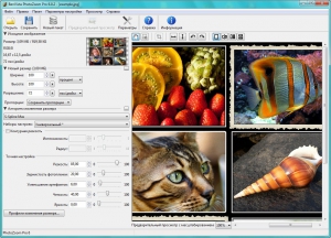 Benvista PhotoZoom Pro 6.0.2 [Multi/Ru]
