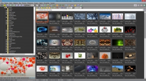 FastStone Image Viewer 5.3 RePack (& Portable) by KpoJIuK [Multi/Ru]