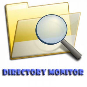 Directory Monitor 2.9.8.0 + Portable [Multi/Rus]