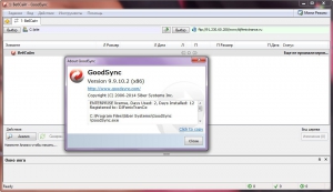 GoodSync Enterprise 9.9.10.2 [Multi/Ru]