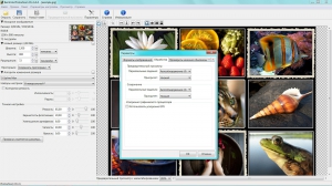 Benvista PhotoZoom Pro 6.0.4 [Multi/Ru]