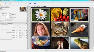 Benvista PhotoZoom Pro 6.0.4 RePack (& portable) by KpoJIuK (2014)[Multi/Ru]