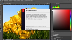 Adobe Photoshop CC 2014.2.1 (20141014.r.257) (x64) RePack by JFK2005 [Ru/En]