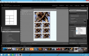 Adobe Photoshop Lightroom 6.1.1 [Multi/Rus]