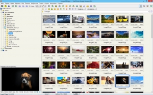 FastStone Image Viewer 5.4 RePack (& Portable) by KpoJIuK [Multi/Rus]