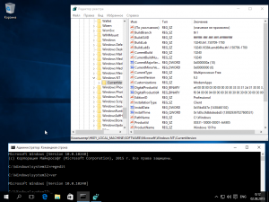Microsoft Windows 10 Pro -    Microsoft VLSC [Ru/En] WZT