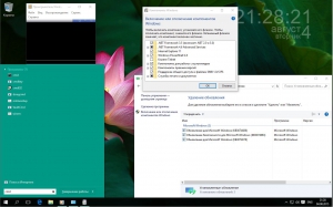 Microsoft Windows 10 Home Single Language 10240.16393.150717-1719.th1_st1 PIP SM by lopatkin (x86-x64) (2015) [Rus]
