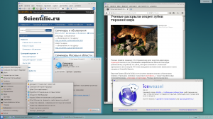 Debian GNU/Linux 9.0 Stretch (Testing, 03.08.2015) [i386] 3xDVD