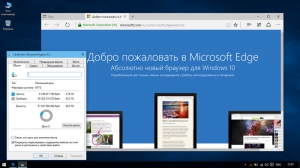 Windows 10 Professional Lite by vlazok (x86-x64) [Rus]