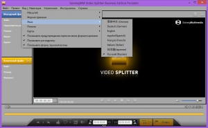 SolveigMM Video Splitter 5.0.1508.11 Business Edition + Portable [Multi/Ru]