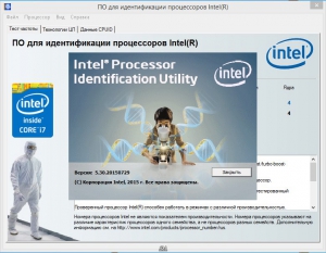 Intel Processor Identification Utility 5.30 [Ru/En]