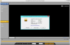 SolveigMM Video Splitter 5.0.1508.12 Business Edition + Portable [Multi/Ru]