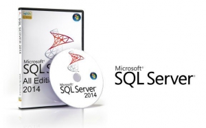 Microsoft SQL Server 2014 12.0.2000.8 [En]