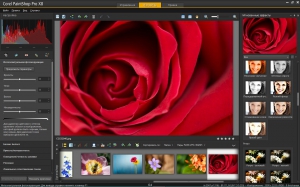 Corel PaintShop Pro X8 18.0.0.124 Retail + Ultimate Pack [Multi/Ru]