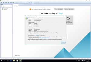 VMware Workstation 12 Pro 12.0.0 build 2985596 [En]