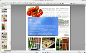 PDF-XChange Viewer Pro 2.5.315.0 Full / Lite RePack (& Portable) by KpoJIuK [Multi/Ru]