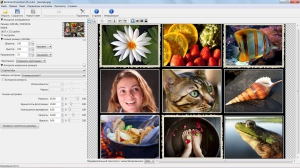 Benvista PhotoZoom Pro 6.0.6 [Multi/Ru]