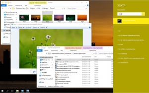 Microsoft Windows 10 Pro Insider Preview 10537 th2 PIP by Lopatkin (x64) [EN-RU]
