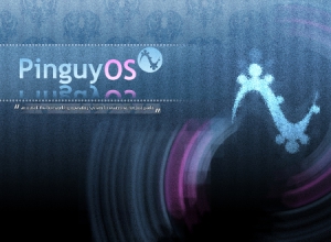 Pinguy OS 14.04.3 [i686] 2xDVD