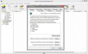 Internet Download Manager 6.23 Build 22 Final RePack by KpoJIuK [Multi/Ru]