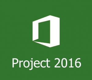  Microsoft Project 2016 Professional / Standard VL 16.0.4266.1001 (x86/x64) [En]