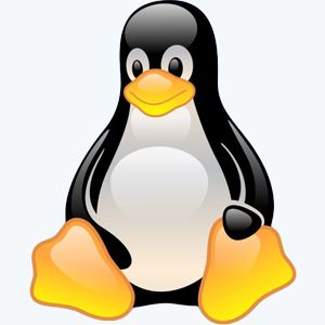 Get Linux 3.2 [En]