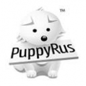 PuppyRus 15.10 [i386] 1xminiCD