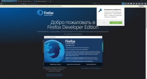 Firefox Developer Edition 44.0a2 (2015-11-27) x86 / x64 [Ru]