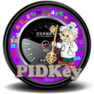 PIDKey 2.0.9 build 1006 Final Portable [Multi/Ru]