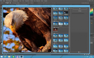 Adobe Photoshop CC 2015.1 (20151114.r.301) [Multi/Ru]