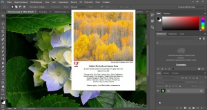 Adobe Photoshop CC 2015.1.1 (20151209.r.327) Portable by PortableWares [Multi/Ru]