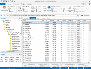 FolderSizes 8.0.102 Enterprise Edition [En/Ua]