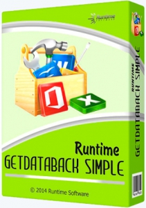 Runtime GetDataBack Simple 2.00 [En]