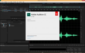 Adobe Audition CC 2015.1 8.1.0.162 Portable by JFK2005 [En]