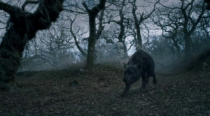  / Beowulf: Return to the Shieldlands (1  1-11   13) | ColdFilm
