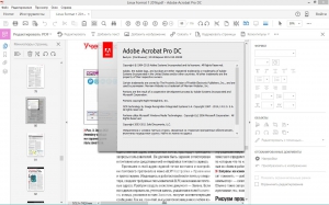 Adobe Acrobat Pro DC 2015.010.20059 [Multi/Ru]