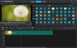Corel VideoStudio Ultimate X9 19.1.0.12 [Multi]