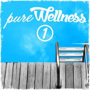 VA - Pure Wellness 1