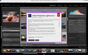 Adobe Photoshop Lightroom 6.4 Portable by PortableWares [Multi/Ru]