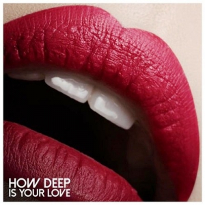VA - How Deep Is Your Love
