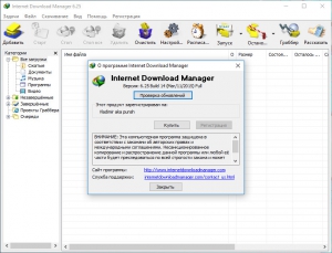 Internet Download Manager 6.25 Build 14 Final RePack (& Portable) by D!akov [Multi/Ru]