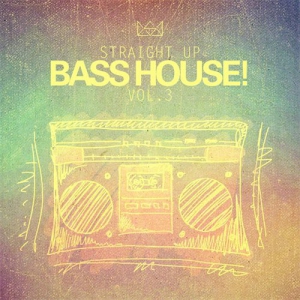 VA - Straight Up Bass House! Vol. 3