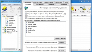 Internet Download Manager 6.25 Build 16 Final [Multi/Ru]